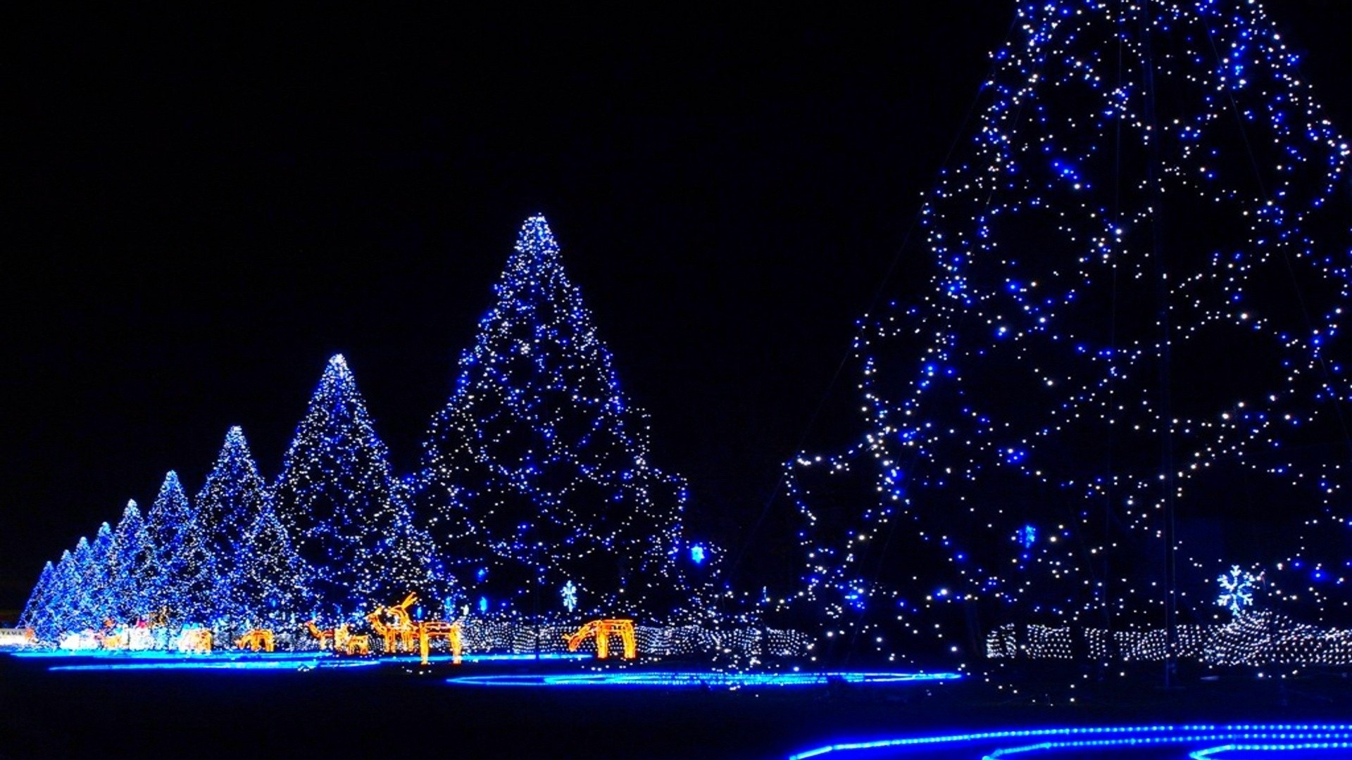 10-beautiful-christmas-tree-blue-14.jpg